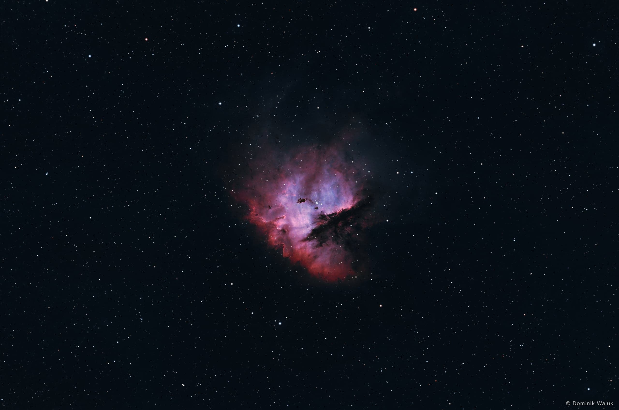 Der Pacman-Nebel: eine kleine, rosa und blau leuchtende Gaswolke mit einer dunklen Staubkerbe, mitten in einem weiten Sternenfeld.