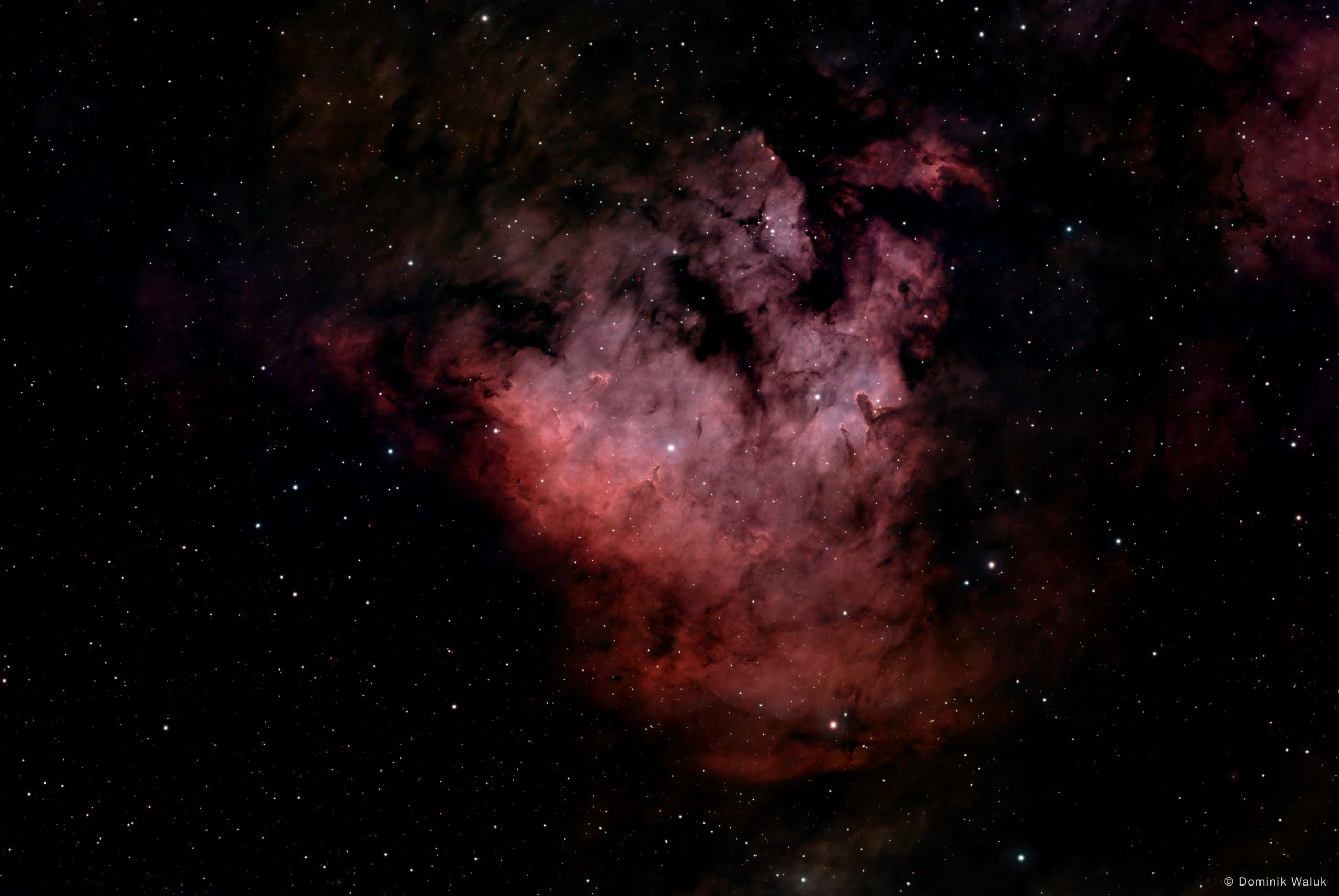 Der Teddybärnebel: eine rot leuchtende Gaswolke mit dunklen Staubschleiern, rechts der Bildmitte in einem dunklen Sternenfeld.