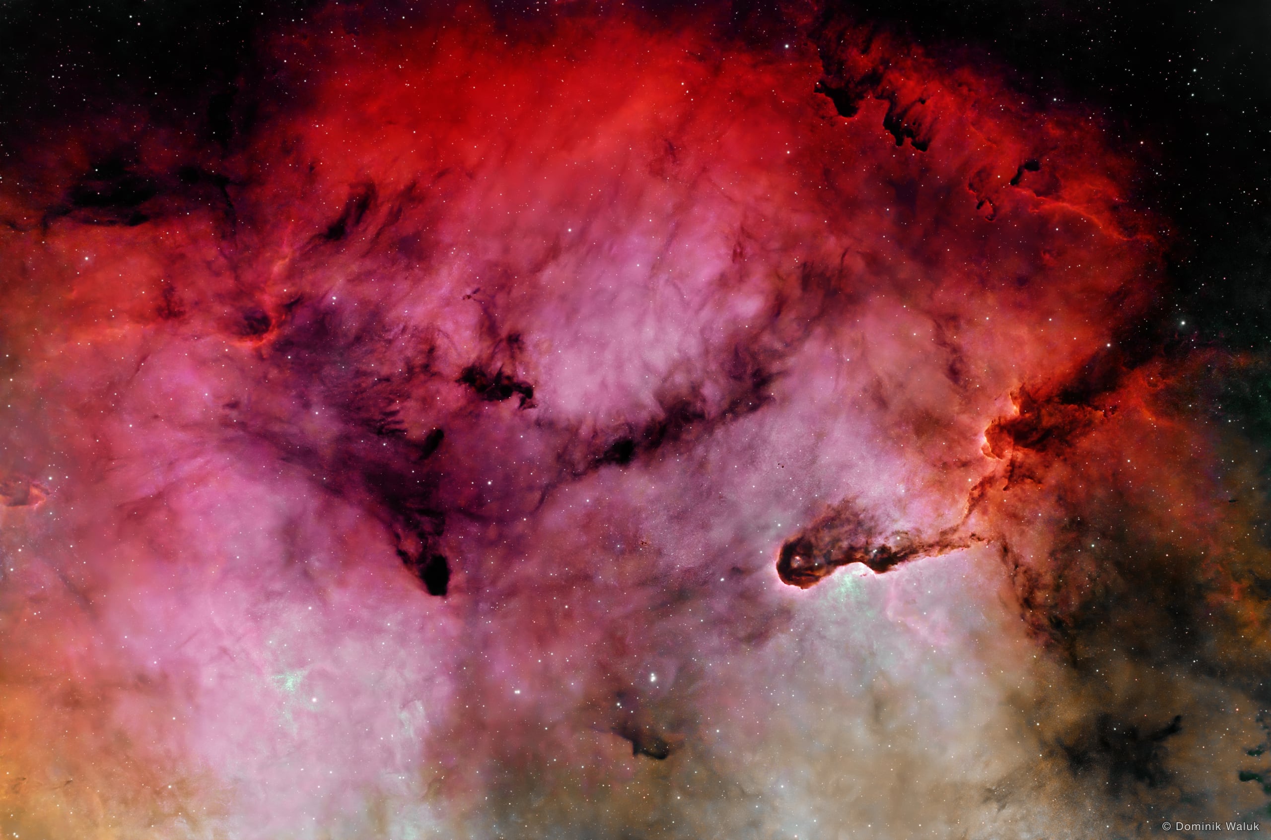 Der Elefantenrüsselnebel: rote und rosa Gaswolken, rechts ein dunkler, gewundener Staubrüssel mit hell leuchtendem Rand.
