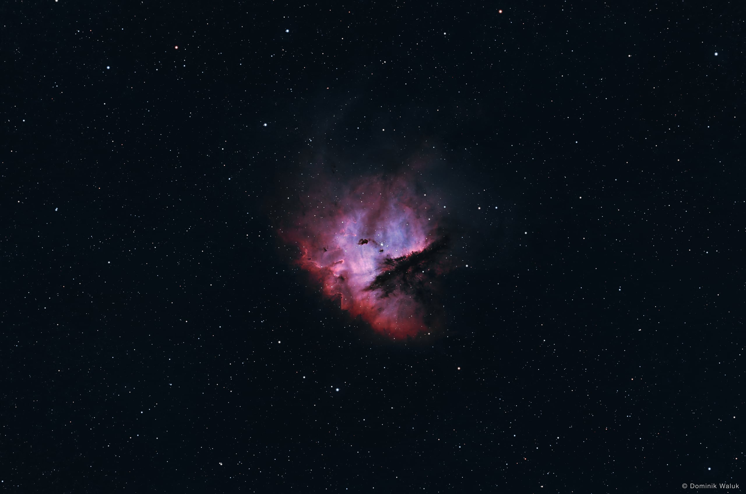 Der Pacman-Nebel: eine kleine, rosa und blau leuchtende Gaswolke mit einer dunklen Staubkerbe, mitten in einem weiten Sternenfeld.