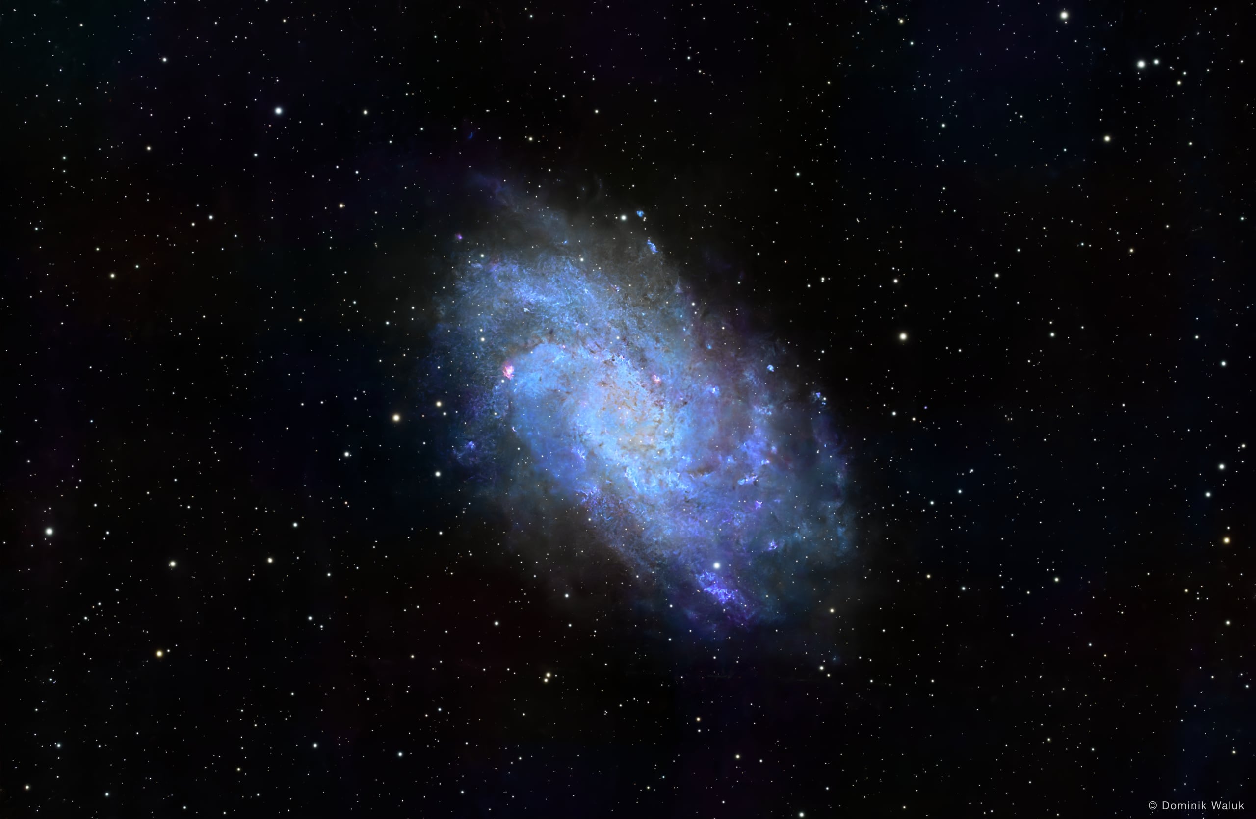 Die Dreiecksgalaxie: eine schräg stehende Spiralgalaxie in Blau und Weiss mit lockeren Armen voller rosa Knoten, in einem dunklen Sternenfeld.