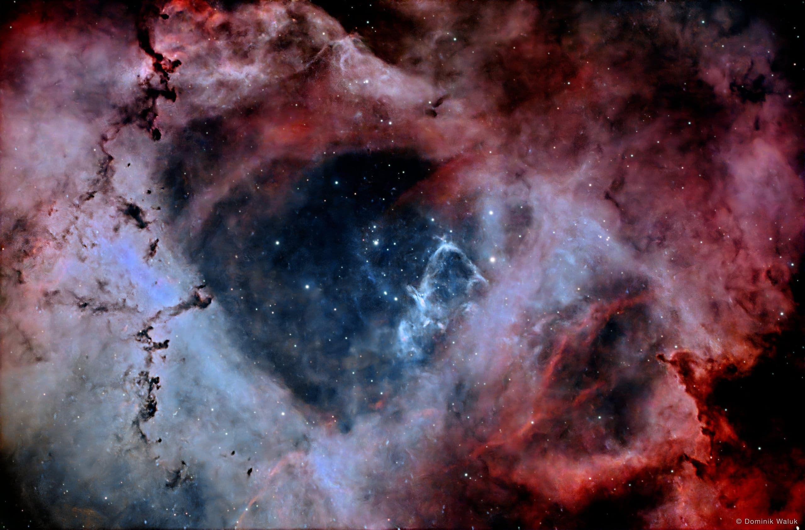 Der Rosettennebel: ein dunkler, blau schimmernder Hohlraum voller Sterne, umgeben von rosa und roten Gaswolken mit dunklen Staubfäden.
