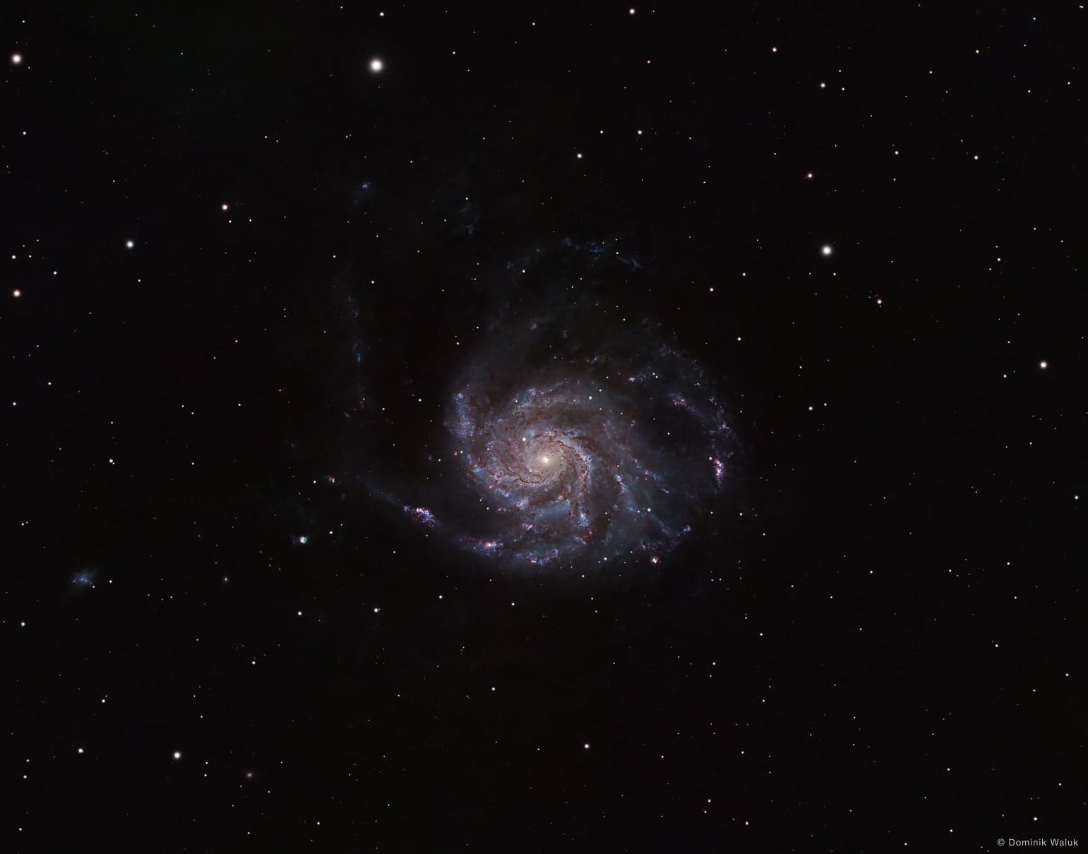 Die Feuerradgalaxie: eine grosse Spiralgalaxie, von oben gesehen, mit weit ausgreifenden Armen voller blauer und rosa Knoten.