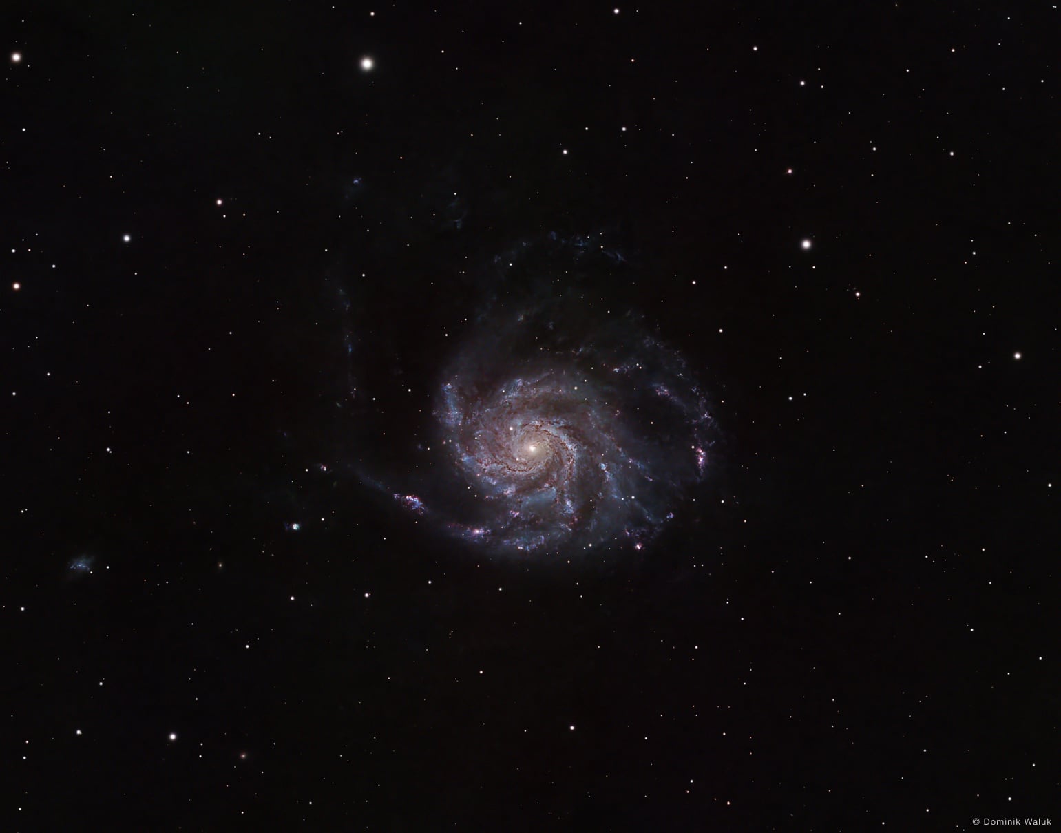Die Feuerradgalaxie: eine grosse Spiralgalaxie, von oben gesehen, mit weit ausgreifenden Armen voller blauer und rosa Knoten.
