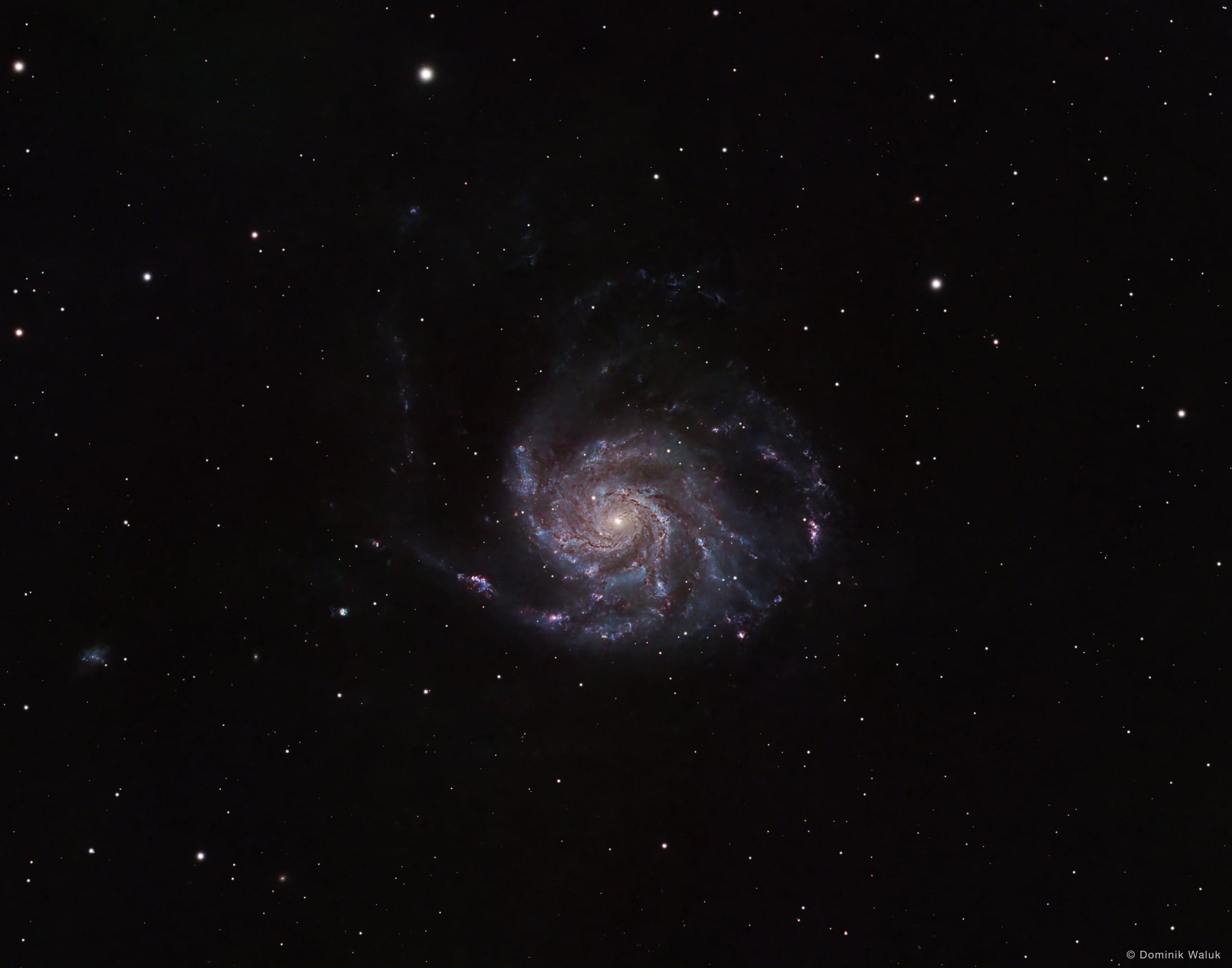 Die Feuerradgalaxie: eine grosse Spiralgalaxie, von oben gesehen, mit weit ausgreifenden Armen voller blauer und rosa Knoten.