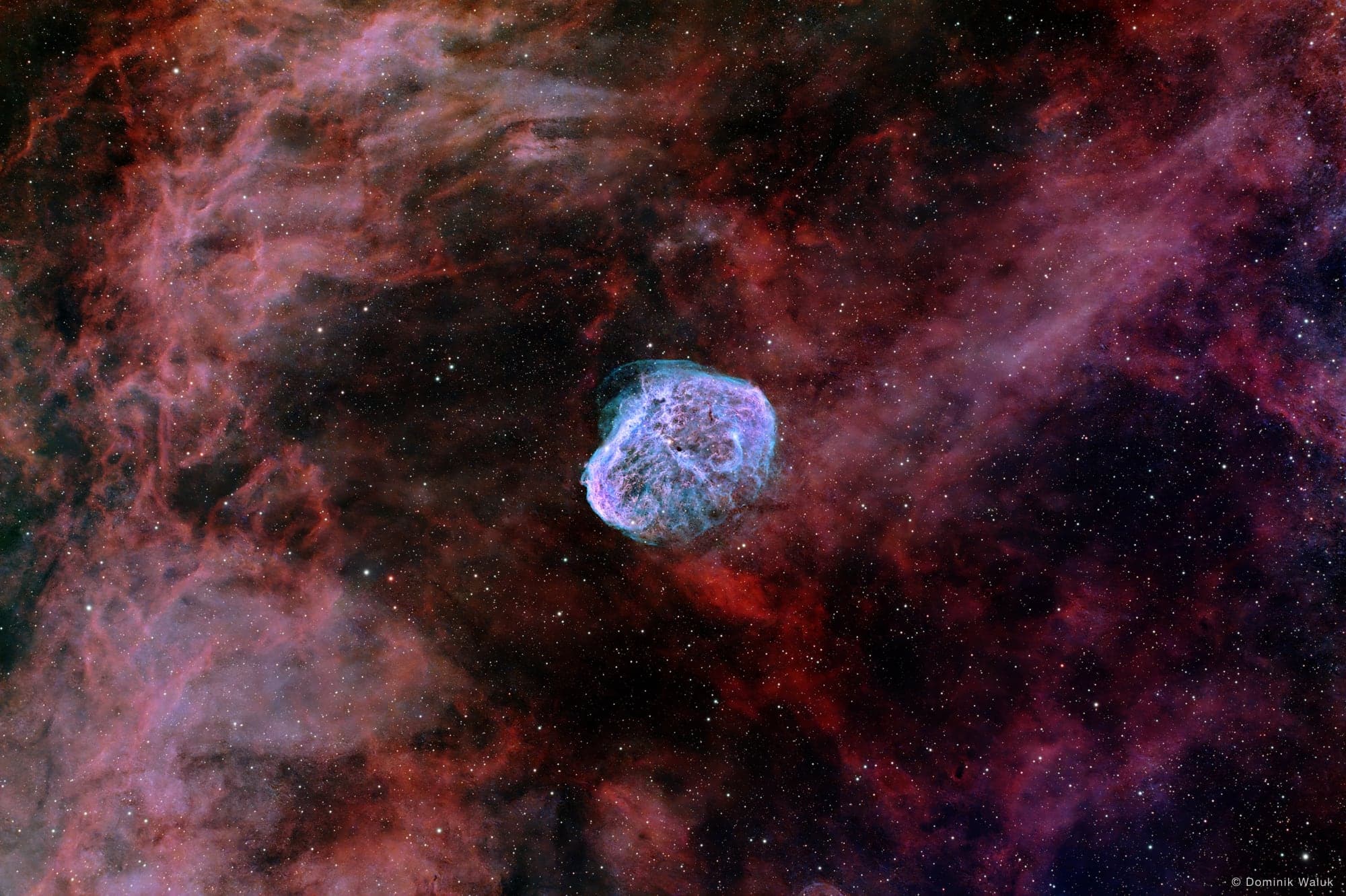 The Crescent Nebula: a blue-tinged, shell-shaped cloud of fine filaments amid dense red nebulosity.