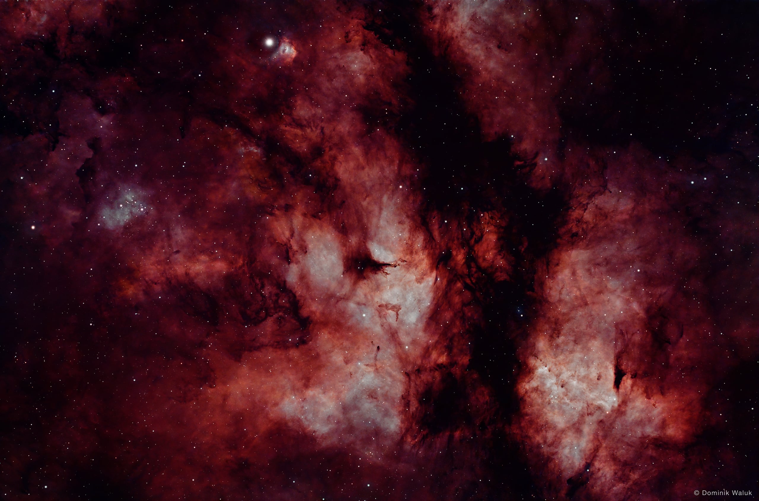 Der Schmetterlingsnebel: ausgedehnte rote und weisse Gaswolken, durchzogen von dunklen Staubbändern, oben ein heller Stern.