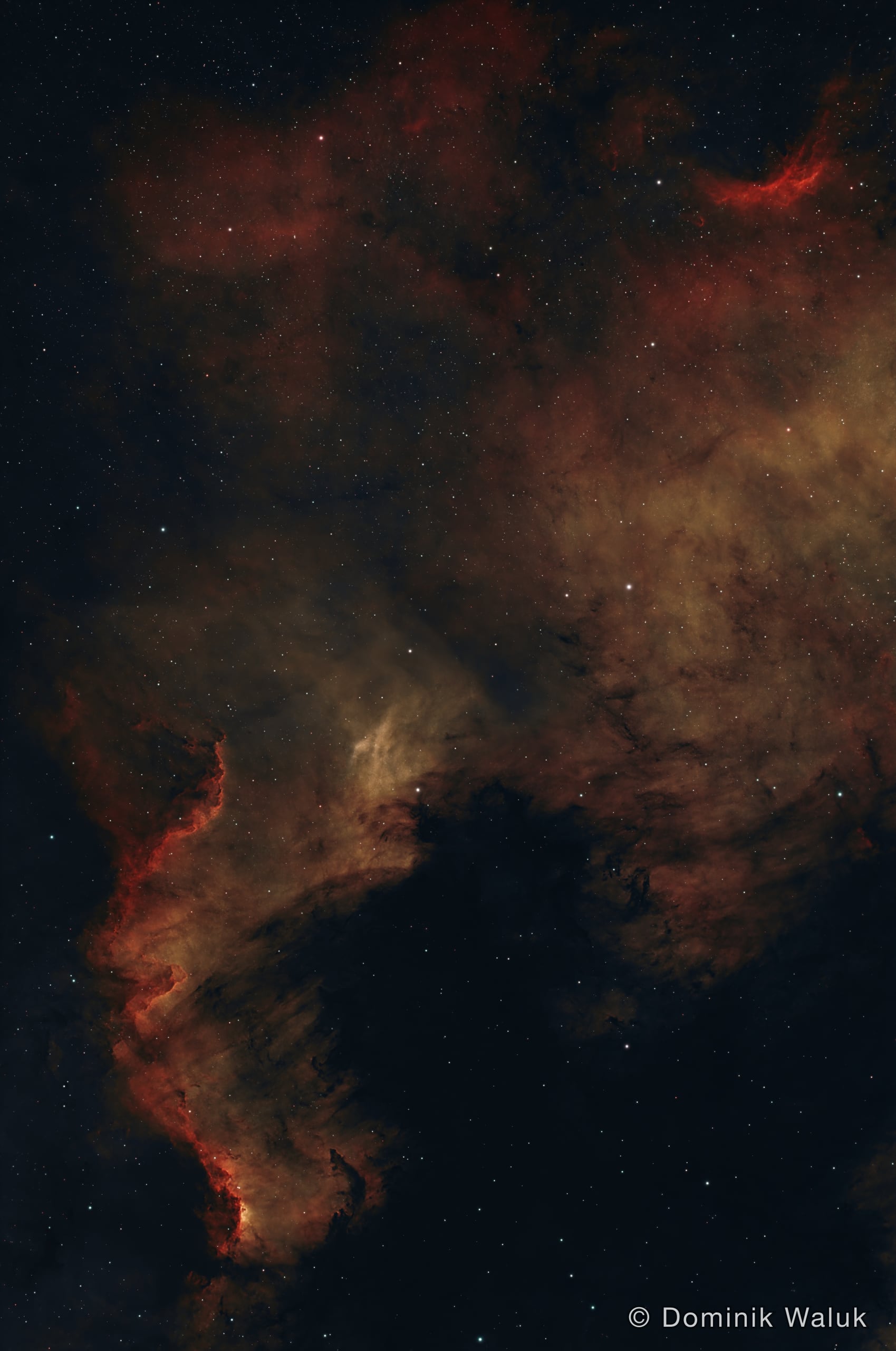 Der Nordamerikanebel im Hochformat: zarte rote und goldbraune Gaswolken, unten links eine hell leuchtende, gewundene Kante vor einer dunklen Staubwolke.